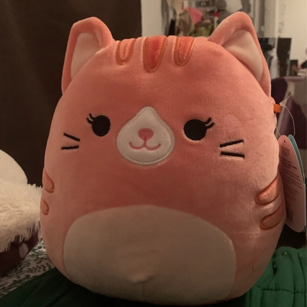 Gigi the Cat squishmallow
